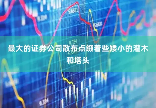 最大的证券公司散布点缀着些矮小的灌木和塔头