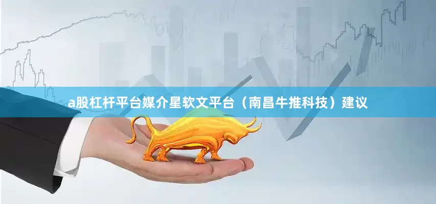 a股杠杆平台媒介星软文平台（南昌牛推科技）建议